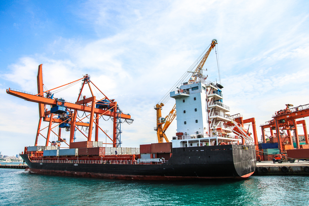 Ships are unknowingly contributing to biodiversity loss and ecosystem degradation by carrying invasive organisms across waters, a new Tel Aviv University report shows.
Photo by Shutterstock