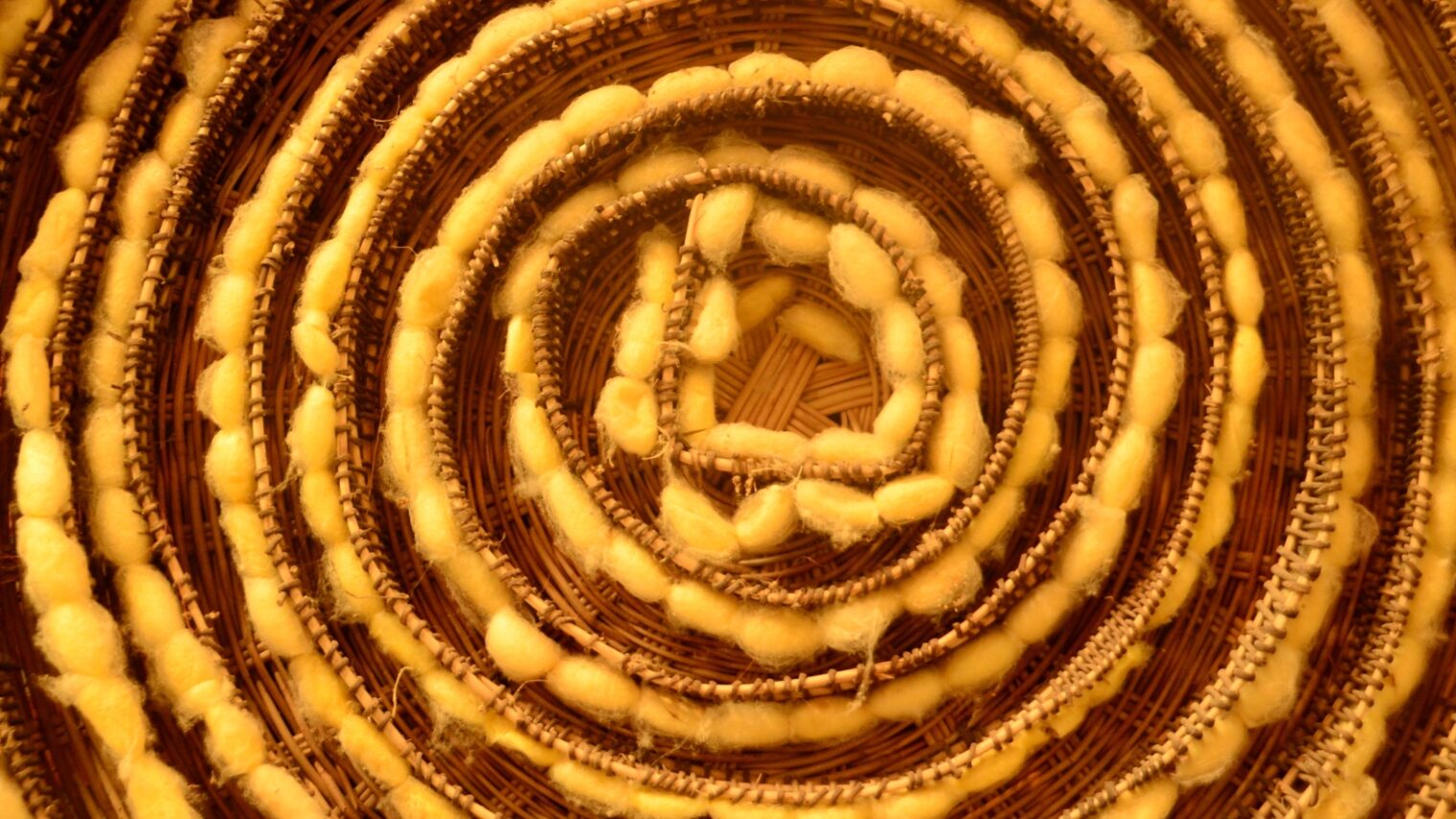 Image of silkworm cocoons via Shutterstock.com