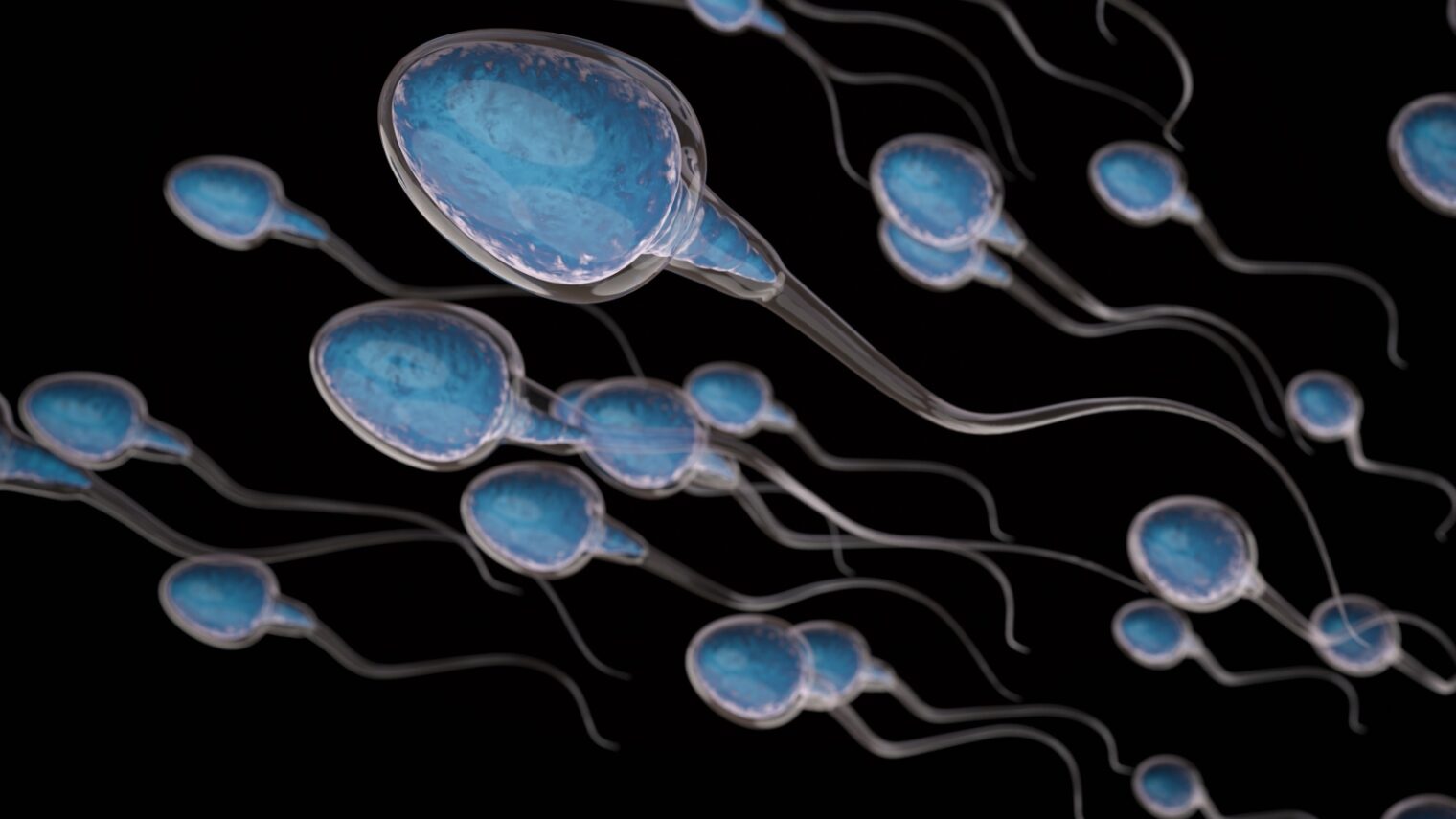 Sperm image by Phonlamai Photo/Shutterstock.com