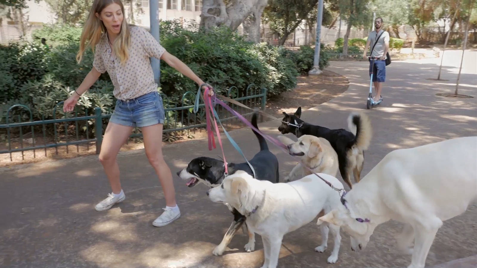 Renny Grinshpan tries her hand at group dog-walking in Tel Aviv. Photo: screenshot