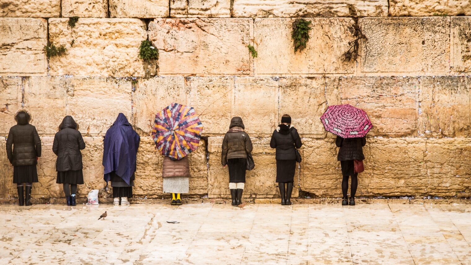 Women at the Wall” by Iris Cohenian. Courtesy of Passage to Israel