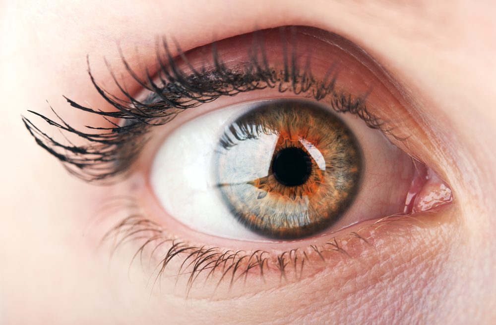 A revolutionary new artificial cornea could one day restore sight to millions of people around the world. Photo via Shutterstock.com