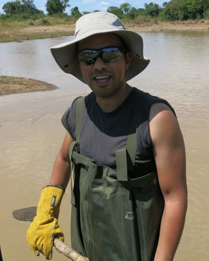 Experimental biologist Itamar Harel collecting East African turquoise killifish. Photo: courtesy