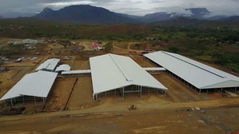 Overview of the dairy farm in Papua New Guinea, built by Israelis in 2017. Photo courtesy of Ronen Feigenbaum