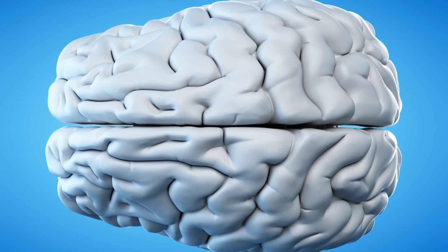 Brain image by Sebastian Kaulitzki/Shutterstock.com
