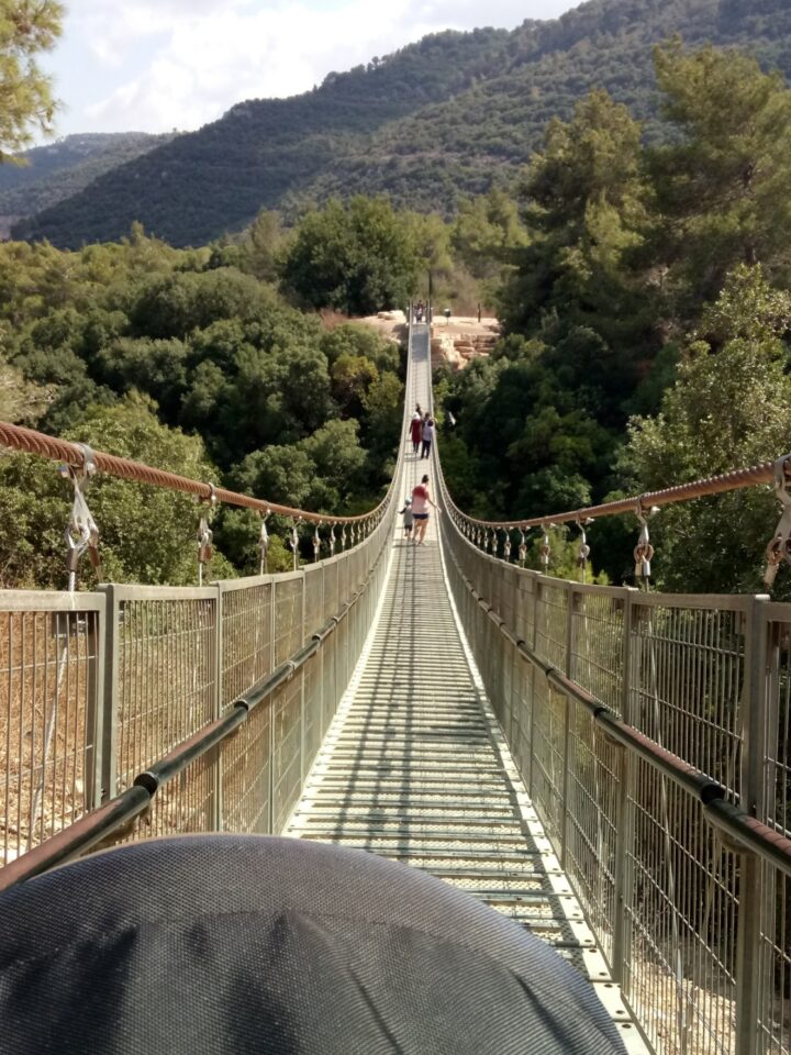 The suspended bridge at Nesher Park, Haifa. Photo by Jessica Halfin