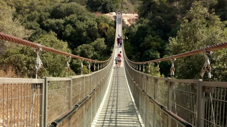 The suspended bridge at Nesher Park, Haifa. Photo by Jessica Halfin