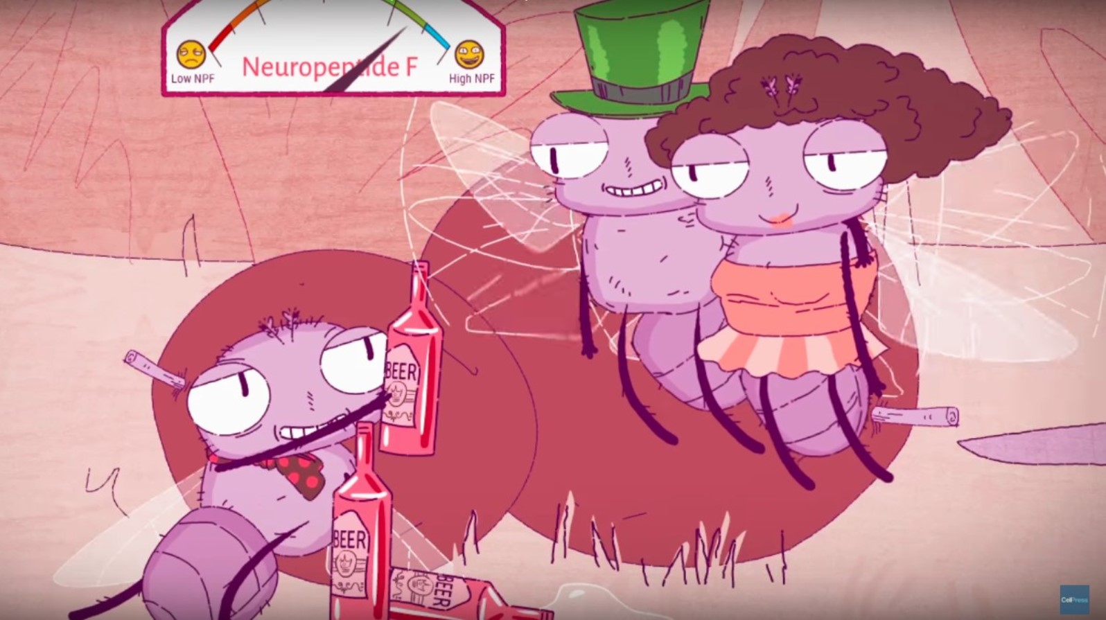 This screenshot from a Bar-Ilan video gives a playful picture of the serious research on reward and pleasure in fruit flies.