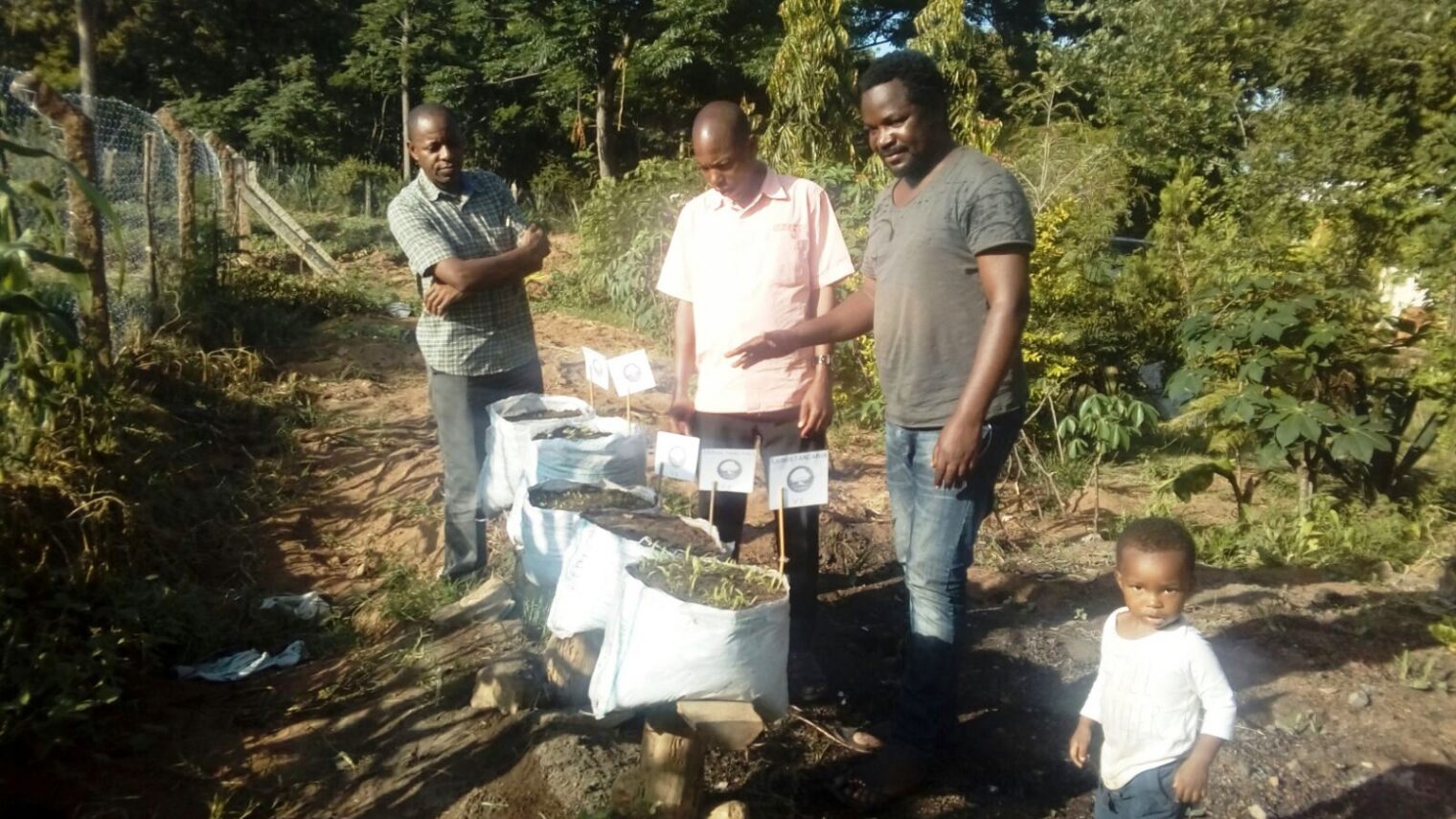 Fabian Bulugu, right, helping to set up Kaima Tanzania farm for at-risk youth. Photo: courtesy