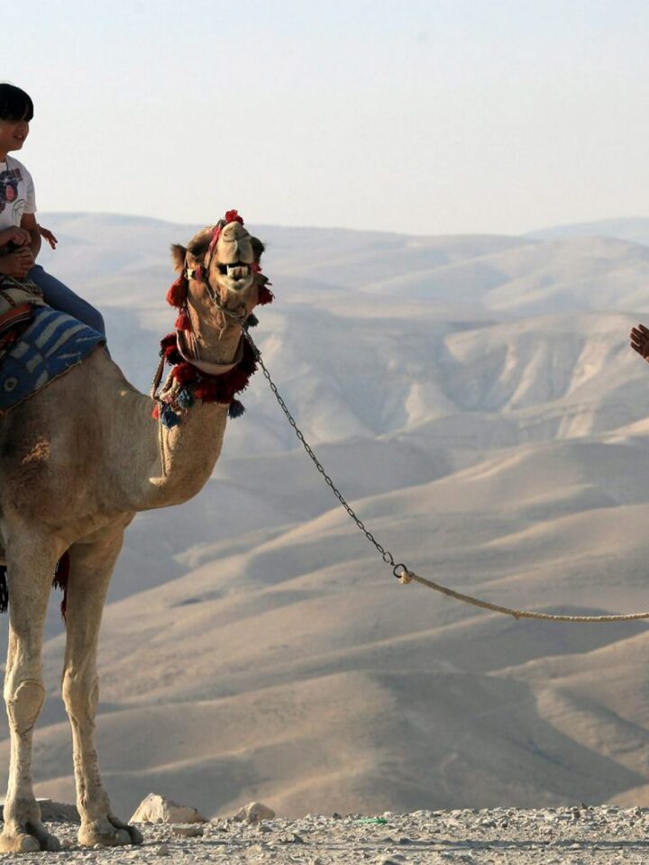 Young Israelis ride on a camel in the Judean desert. Photo by Nati Shohat/FLASH90