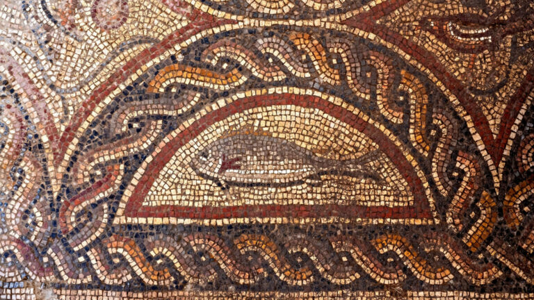 Animal figures depicted in the new mosaic discovery. Photo by Assaf Peretz/Israel Antiquities Authority