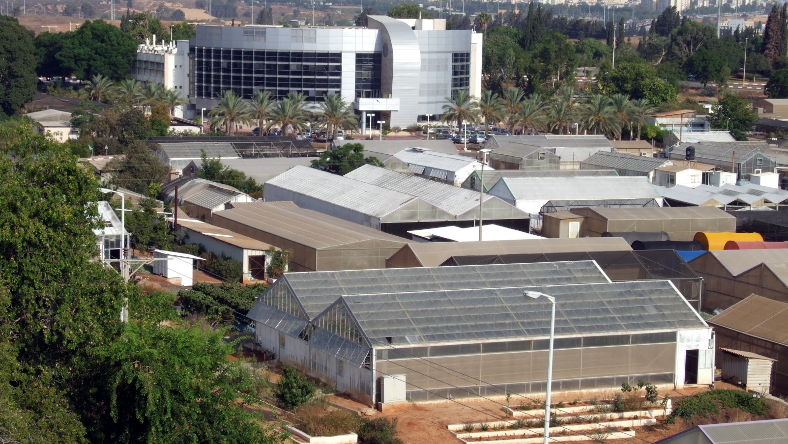 Volcani Center-Agricultural Research Organization in Rishon LeZion. Photo by Yigal Elad