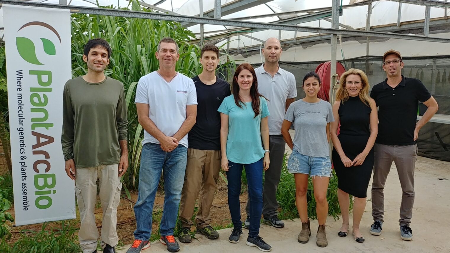 The Plantarcbio team at its experimental greenhouse. Photo: courtesy