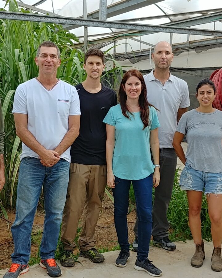 The Plantarcbio team at its experimental greenhouse. Photo: courtesy