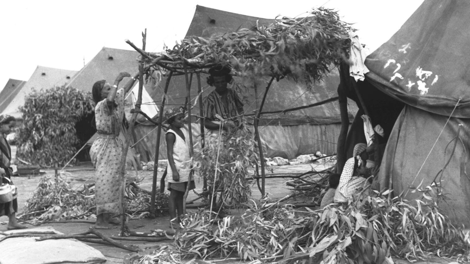 Sukkot at the Shaâ€™ar Menashe maâ€™abara (new immigrant tent city), 1950. Photo courtesy of GPO
