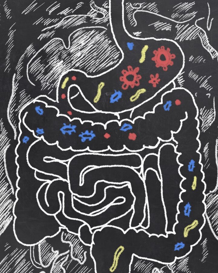 Illustration of gut bacteria by T.L. Furrer/Shutterstock.com