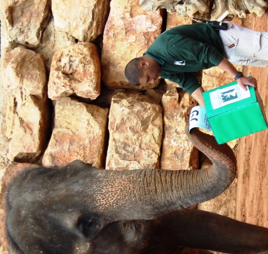 An elephant exercising its right to vote at the Jerusalem Biblical Zoo. Photo by Yaara Forest Tamari