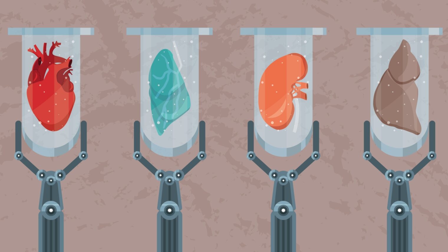 Regenerative medicine illustration by Valentina Kru via Shutterstock.com
