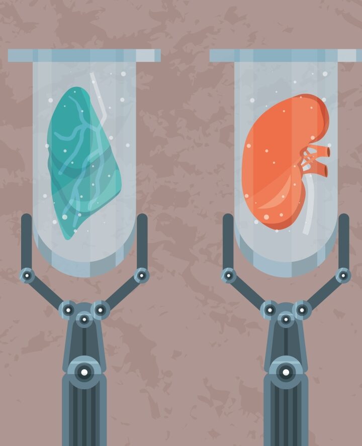 Regenerative medicine illustration by Valentina Kru via Shutterstock.com