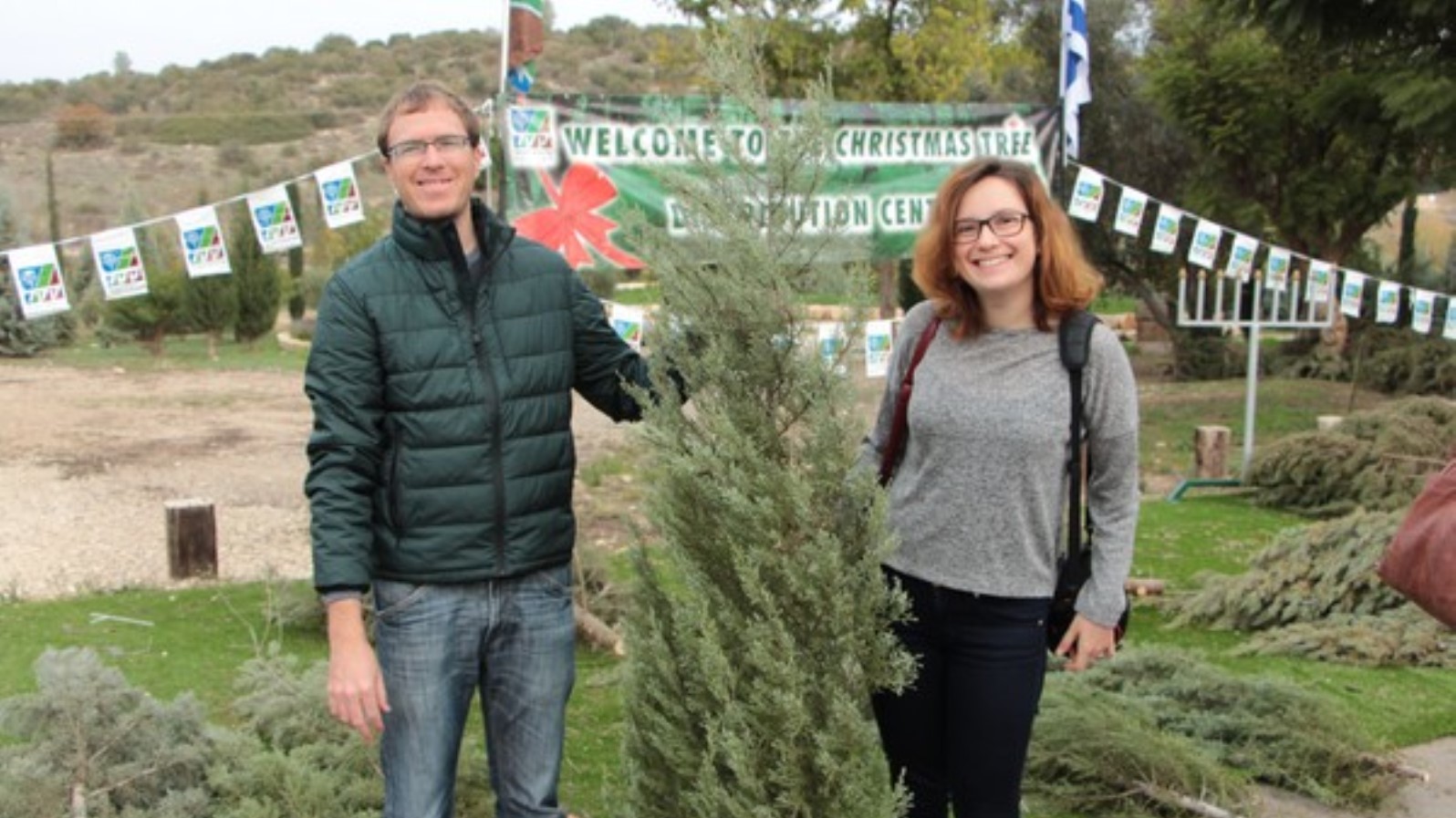 Christmas trees are distributed every year in Israel’s northern district ahead of Christmas and Novy God. Photo by Yoav Devir/KKL-JNF