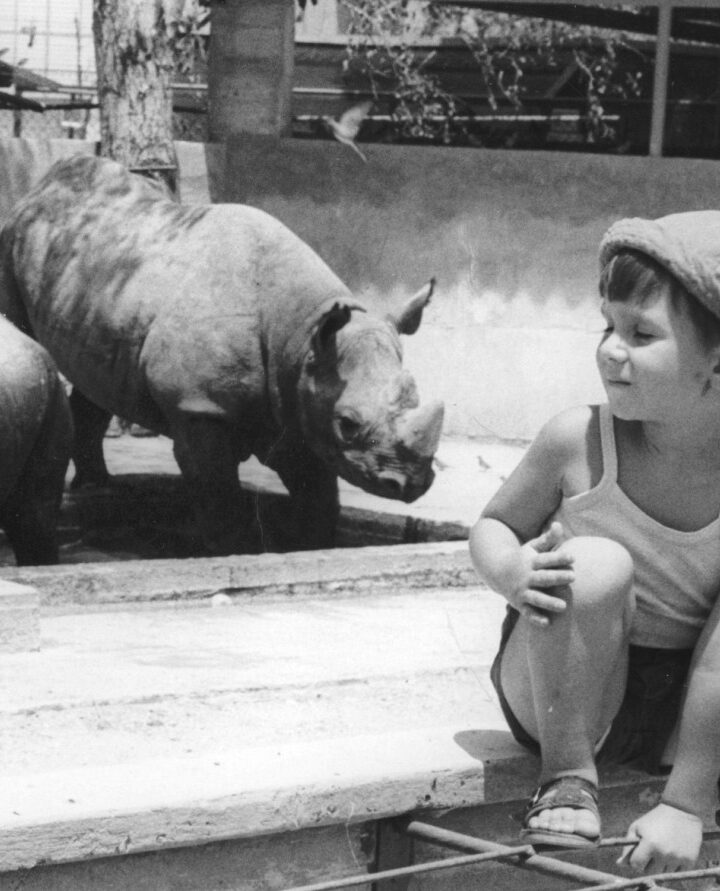 Children visiting rhinos at the Tel Aviv Zoo in 1968. Photo by IPPA staff, courtesy of National Library of Israel/Dan Hadani Archive