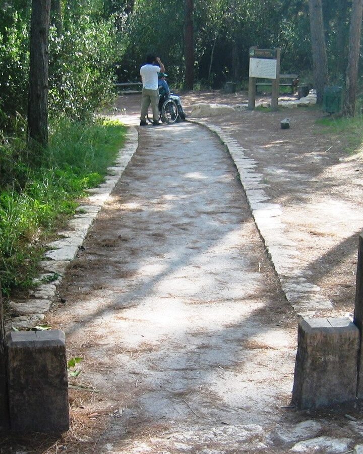 Accessible hiking path at Nahal Hashofet. Photo courtesy of Access Israel
