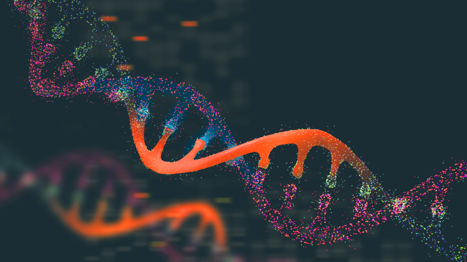 The body's DNA damage response is key in maintaining genome stability in the face of harmful agents. Photo by Yurchanka Siarhei via shutterstock.com