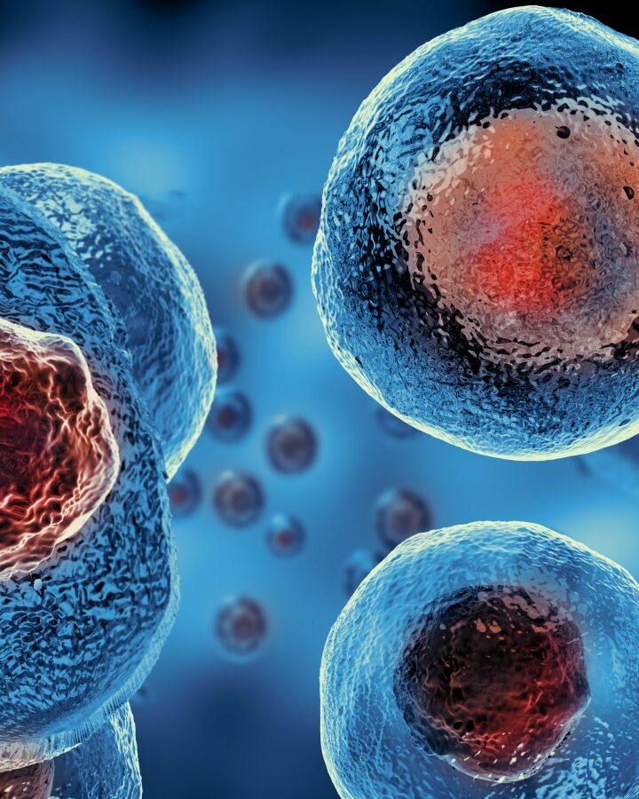 Embryonic stem cells. (Credit: Giovanni Cancemi via shutterstock.com)