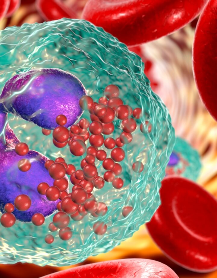 3D of an eosinophil white blood cell among red blood cells. Illustration by Kateryna Kon via Shutterstock.com