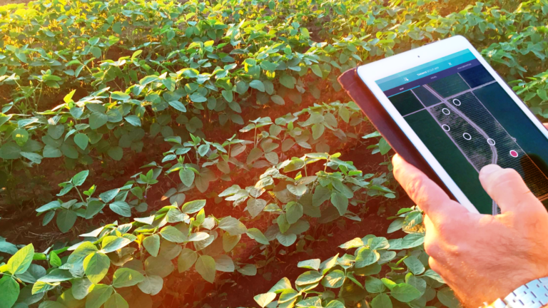 Taranis technology at work in a soy field. Photo: courtesy