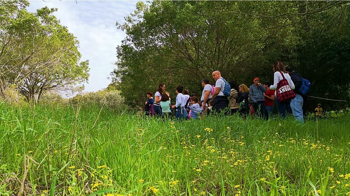 A group with Romy Urban Nature Tours exploring the open fields just beyond Tel Aviv in Glilot. Photo: courtesy