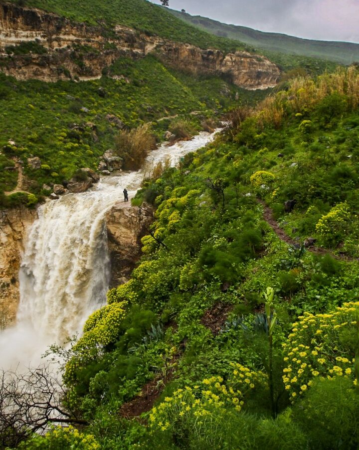 Water flowing at Nahal El Al in the Golan Heights, February 2019. Photo by Maor Kinsbursky/FLASH90