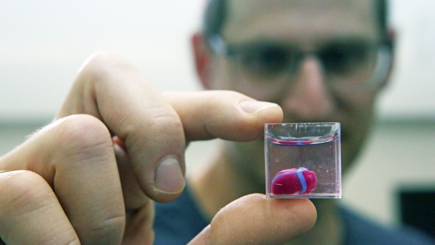 A Tel Aviv University researcher holds the first 3D-printed vascularized heart, April 15, 2019. Photo by FLASH90