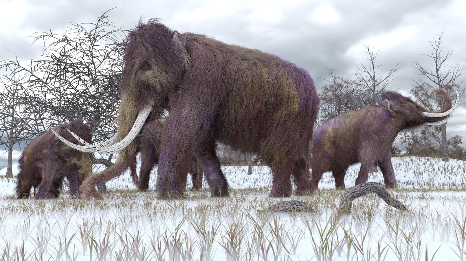 Illustration of a herd of woolly mammoths by AuntSpray via shutterstock.com