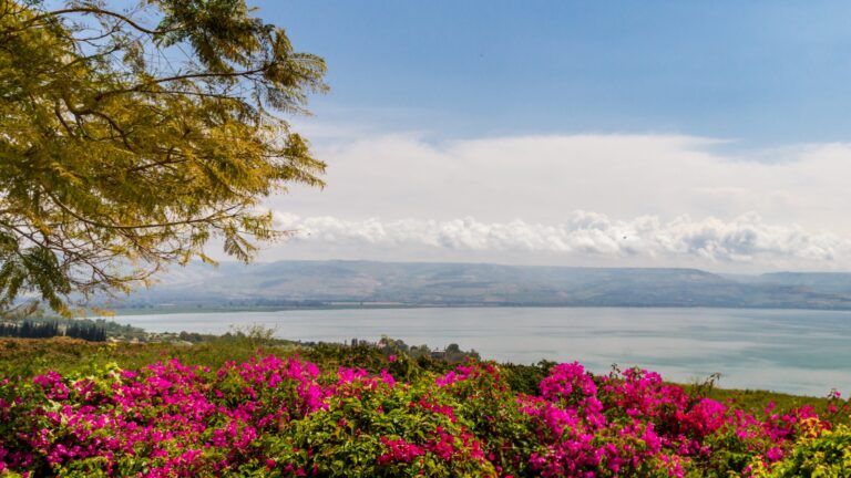 Experience the Sea of the Galilee in its springtime glory. Photo by alefbet via shutterstock.com