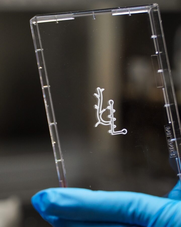 The Technion's new center operates a printer that prints 3D scaffolds and cells that grow into tissue. Photo by Nitzan Zohar/Technion Spokesperson’s Office