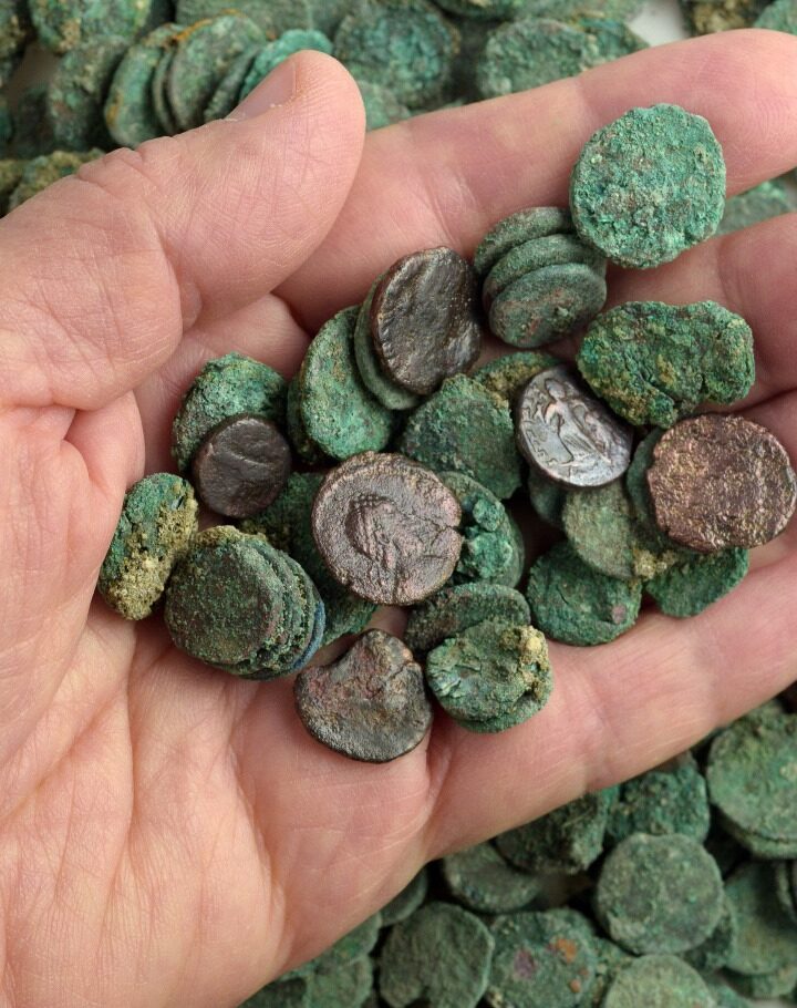 Coin cache discovered during the digging. Photo by Clara Amit/Israeli Antiquities Authority