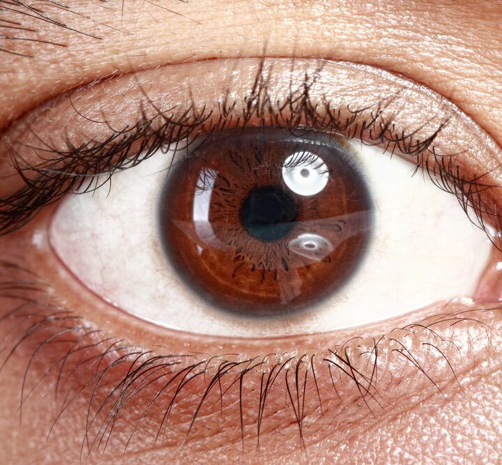 The complex human eye. Photo by Shutterstock