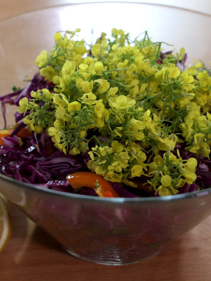 Photo of Cabbage Mustard Flower Salad by Haim Silberstein.