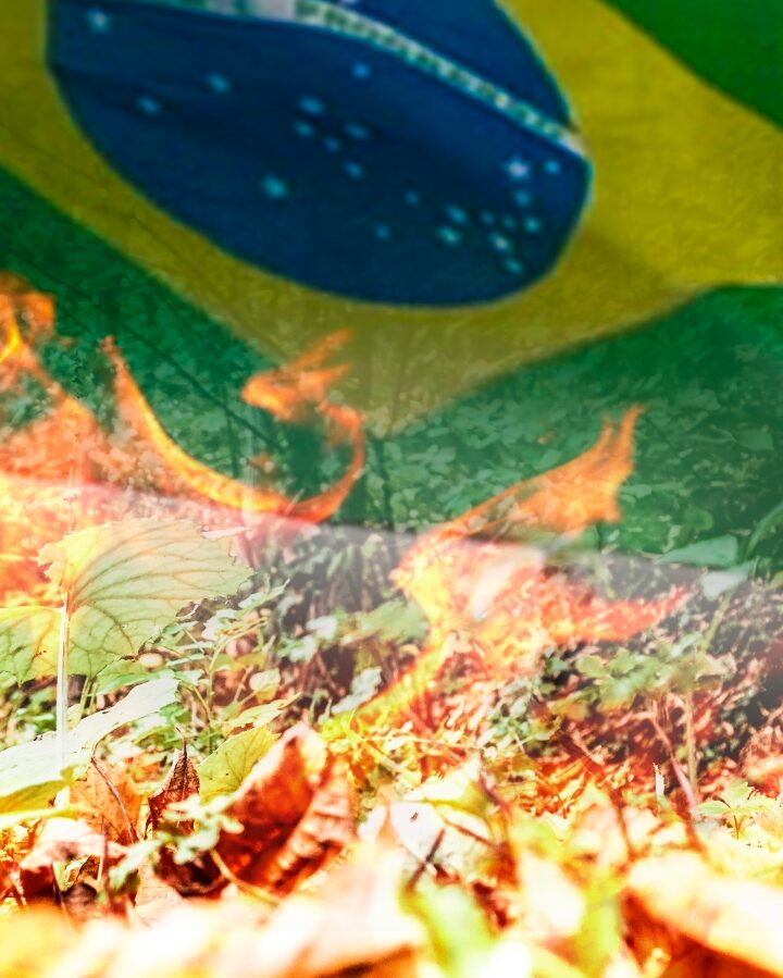 Raging tropical forest fire and the flag of Brazil. Image by Ivan Marc/Shutterstock.com