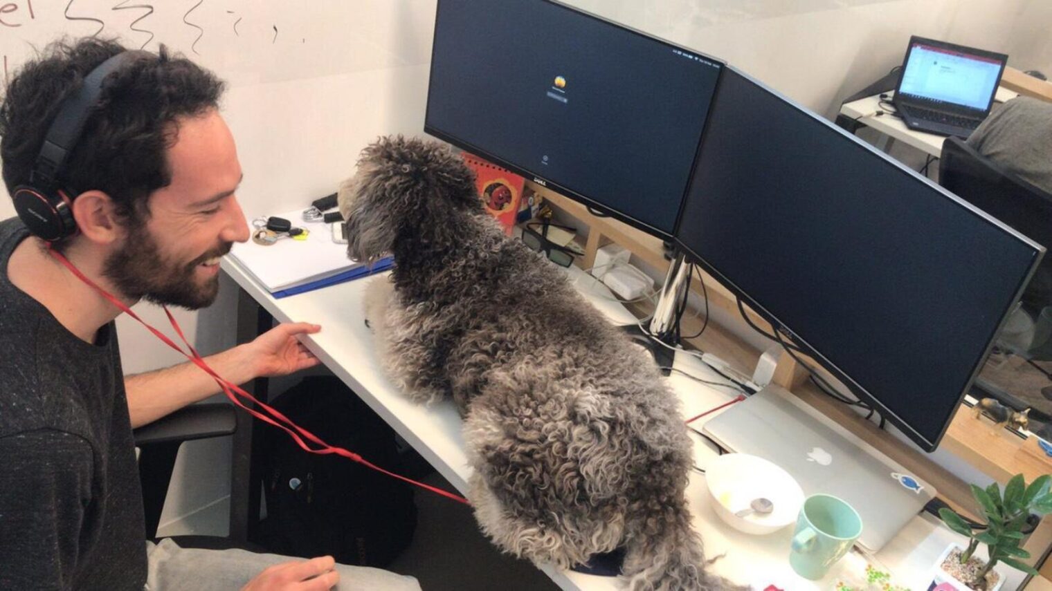 Just another day at the Yotpo office for Mona. Photo: courtesy