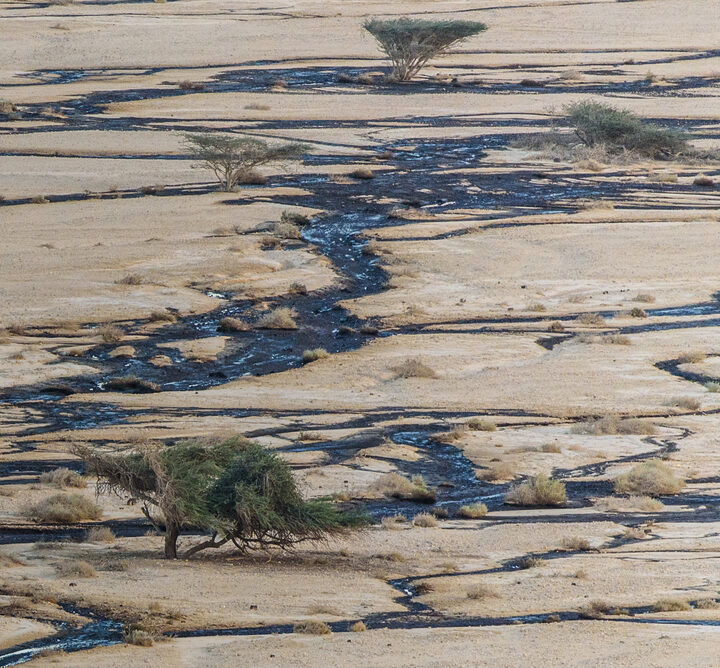 Oil spill in December 2014 in Israel’s Evrona Nature Reserve. Photo by Alexander Turovsky via Shutterstock.com