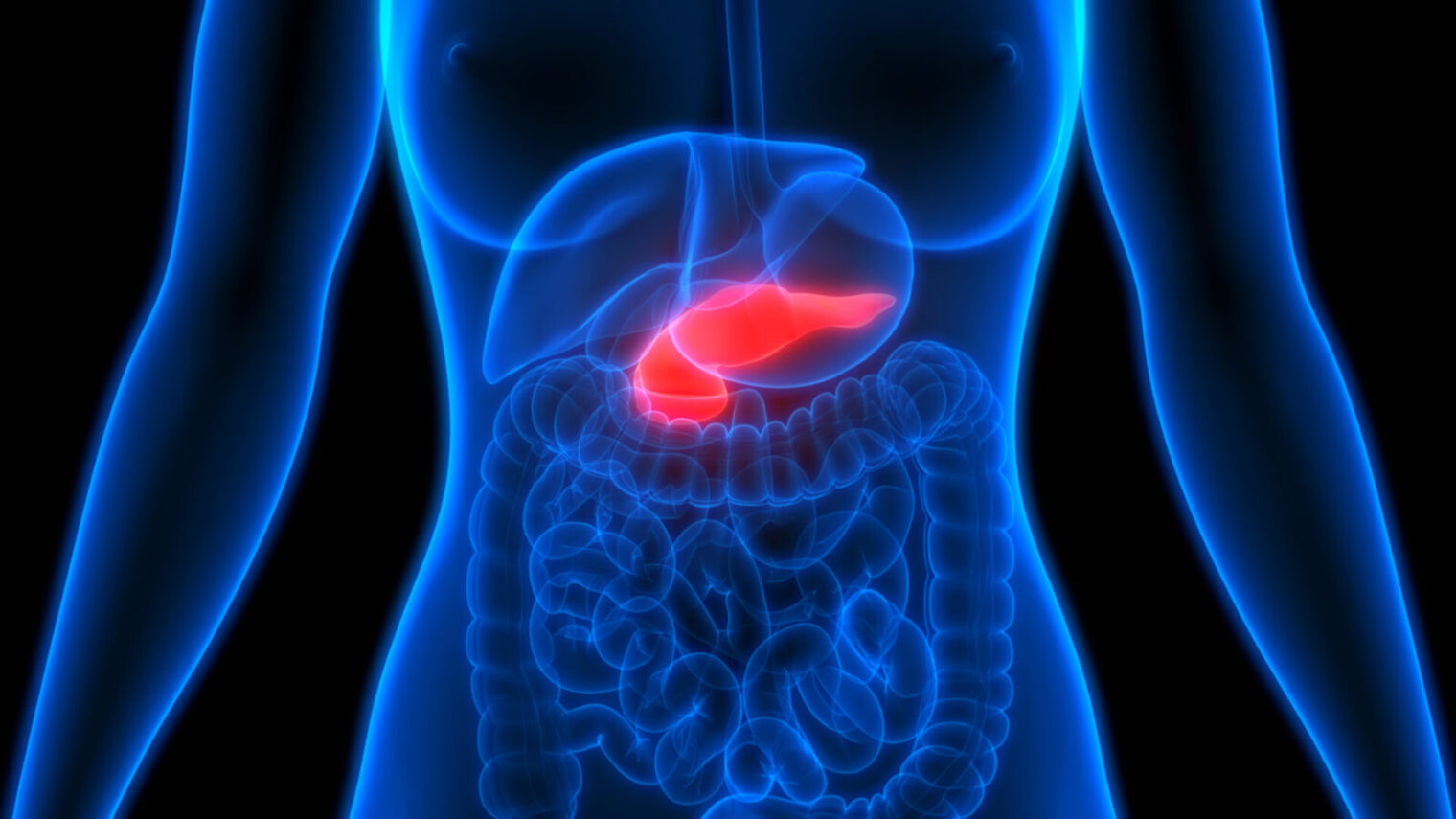 Illustration of pancreas by Magic Mine via Shutterstock.com