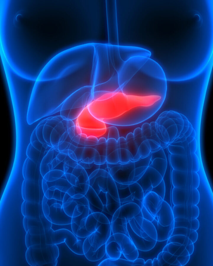 Illustration of pancreas by Magic Mine via Shutterstock.com