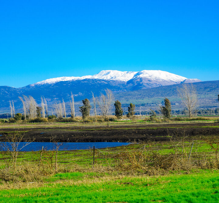 A snowy Mount Hermon. Photo by Shutterstock