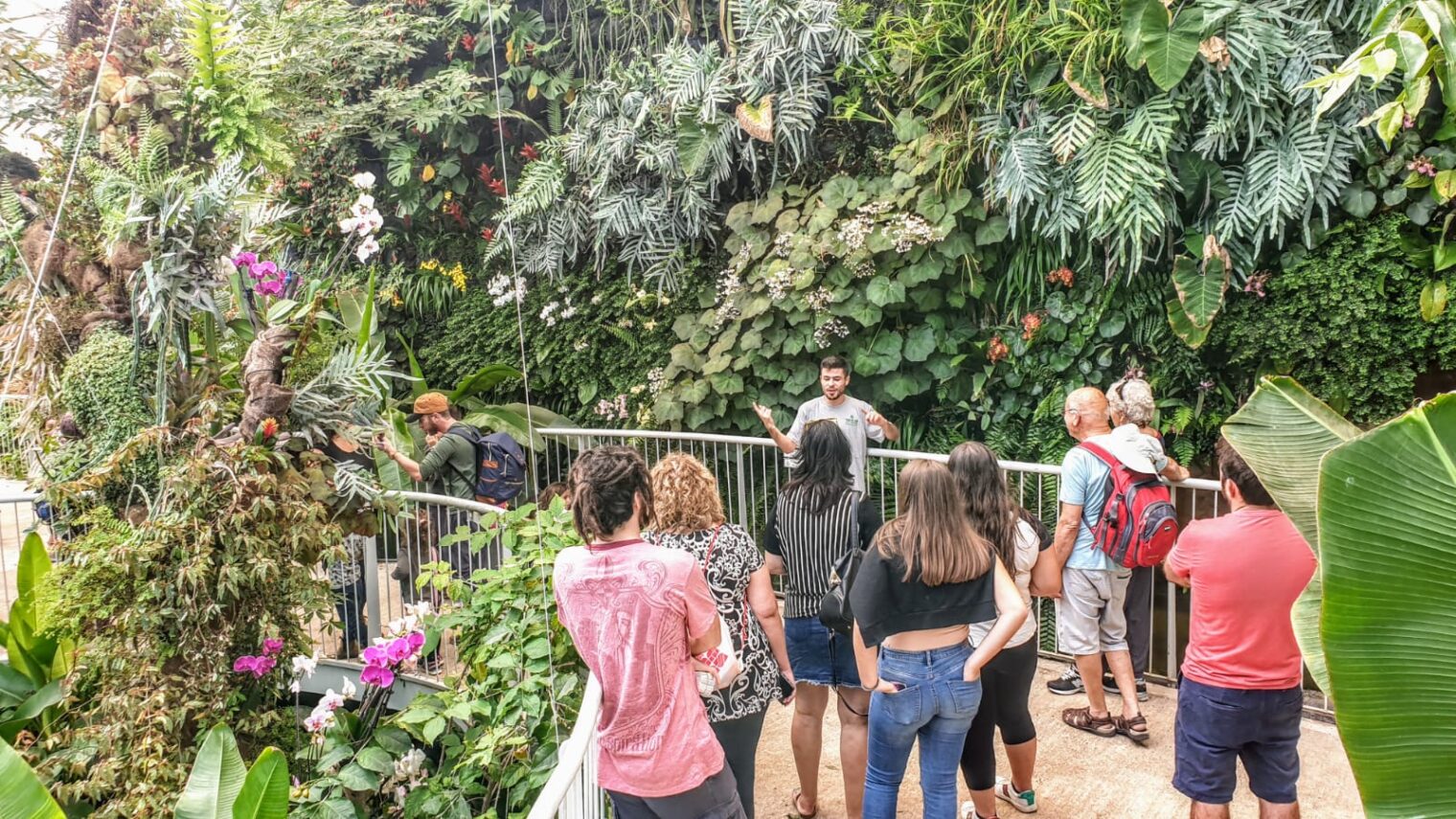 Visitors enjoy a guided tour of the Jerusalem Botanical Gardensâ€™ new Tropical Conservatory. Photo by Tom Amit
