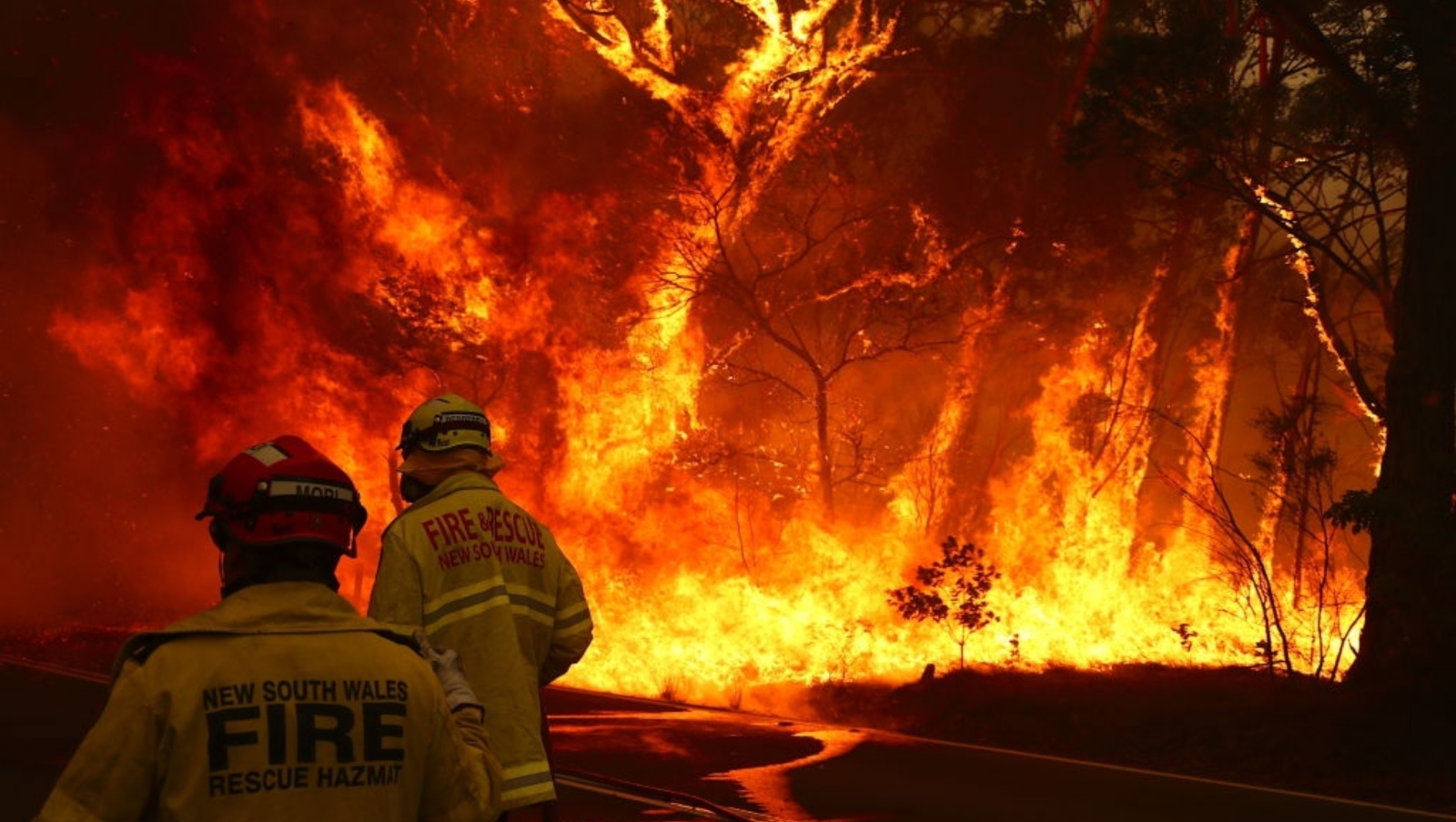 Fire and rescue personnel run to move their truck as a bushfire burns next to a major road and homes on the outskirts of the town of Bilpin, Australia, January 28, 2020. Photo via Shutterstock.com