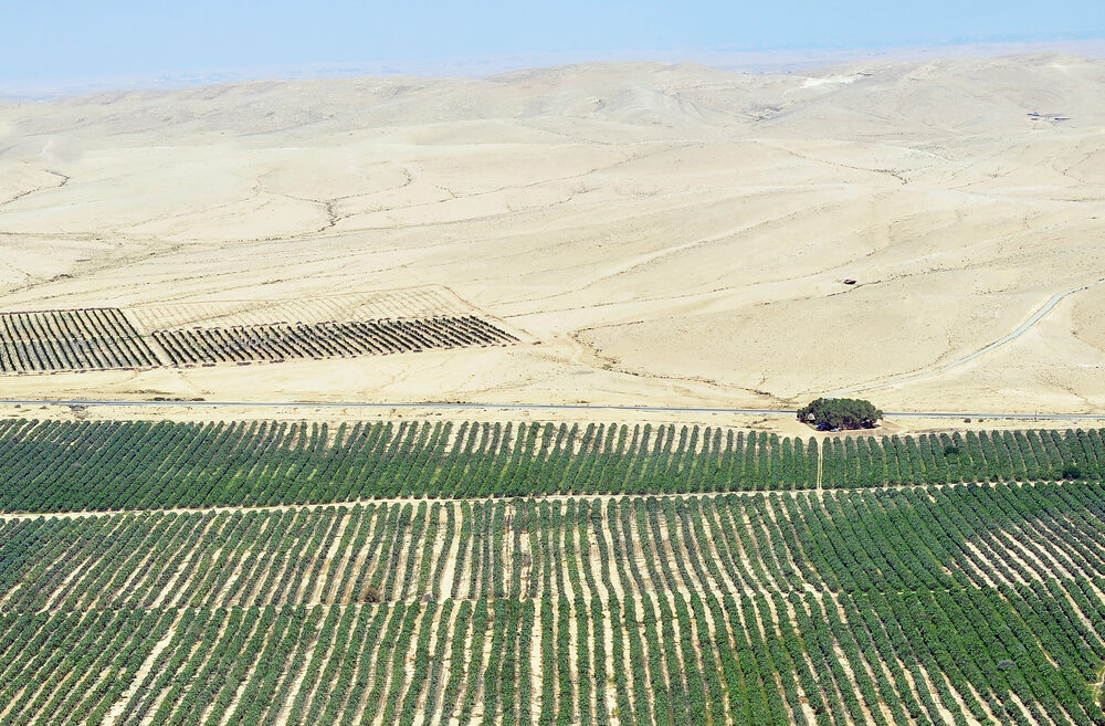 Farming in the Israeli desert. Photo by Shutterstock