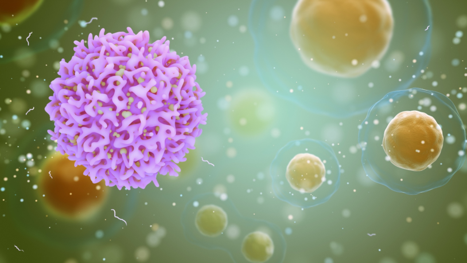Natural killer cells are an important part of the body’s immuno-surveillance system that can recognize and kill cancerous cells.Image by K_E_N/Shutterstock.coma