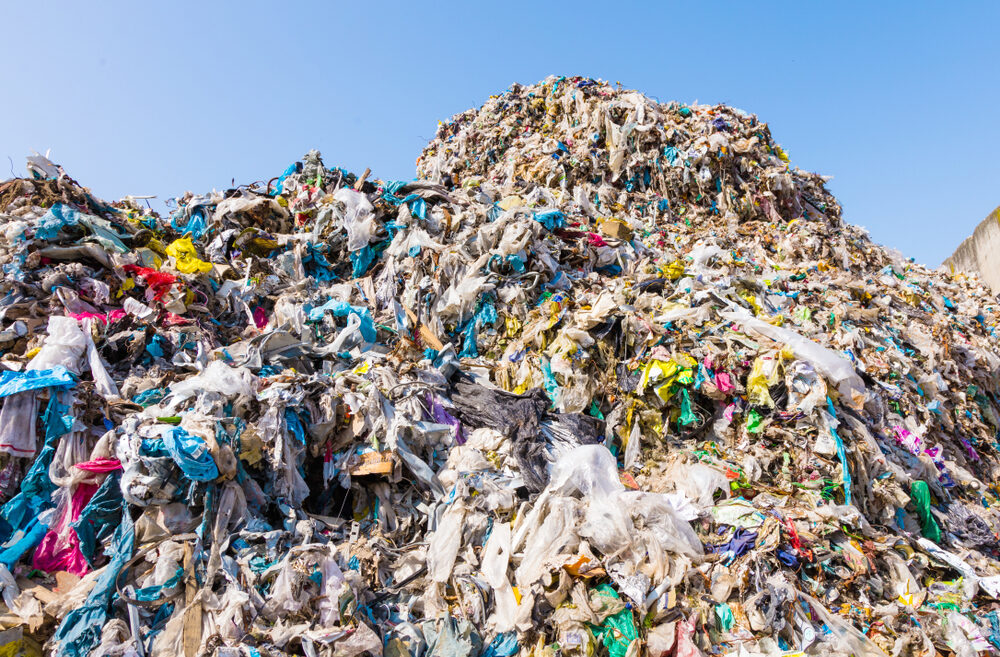 Israeli companies and initiatives deliver great products and services that eliminate waste. (KarepaStock/Shutterstock.com)